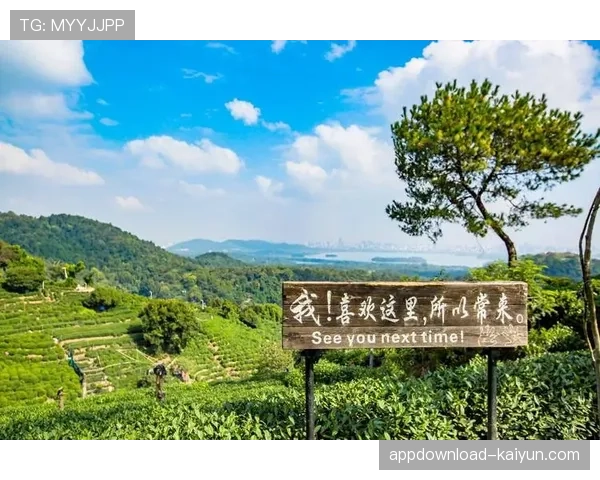 伯纳乌市集成热门景点，吸引众多游客和本地市民参观